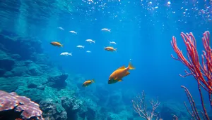 Colorful Fish Swimming in Tropical Coral Reef.