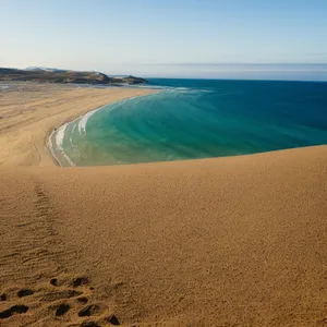 Tropical Paradise: Sun-kissed Waves on Sandy Beach