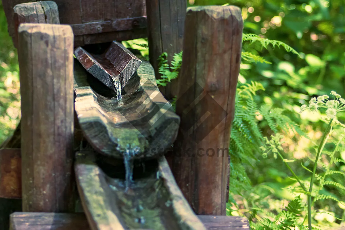 Picture of Rusty padlock on old wooden device