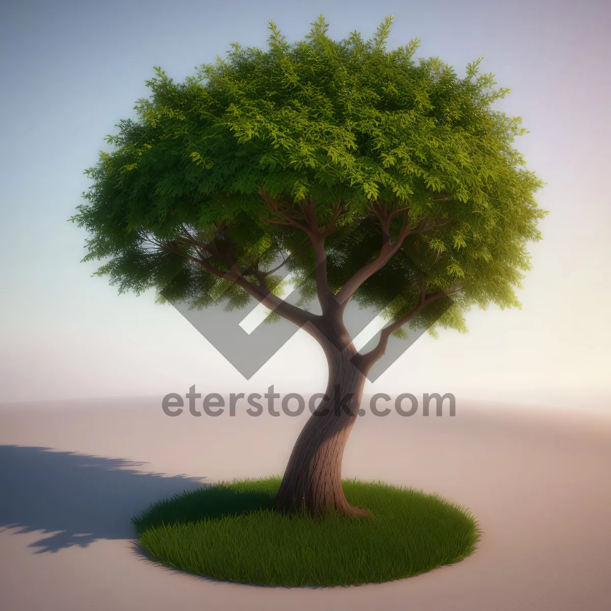 Picture of Evergreen Oak: Miniature Symbol of Natural Growth