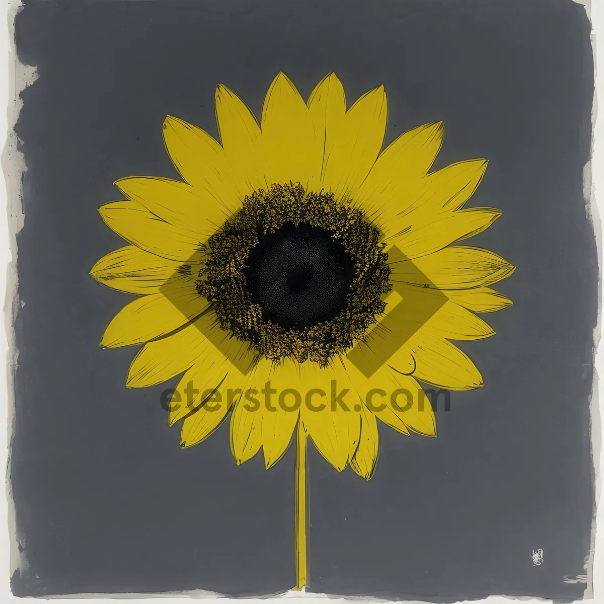 Picture of Bright Sunflower Blossom in Vibrant Field