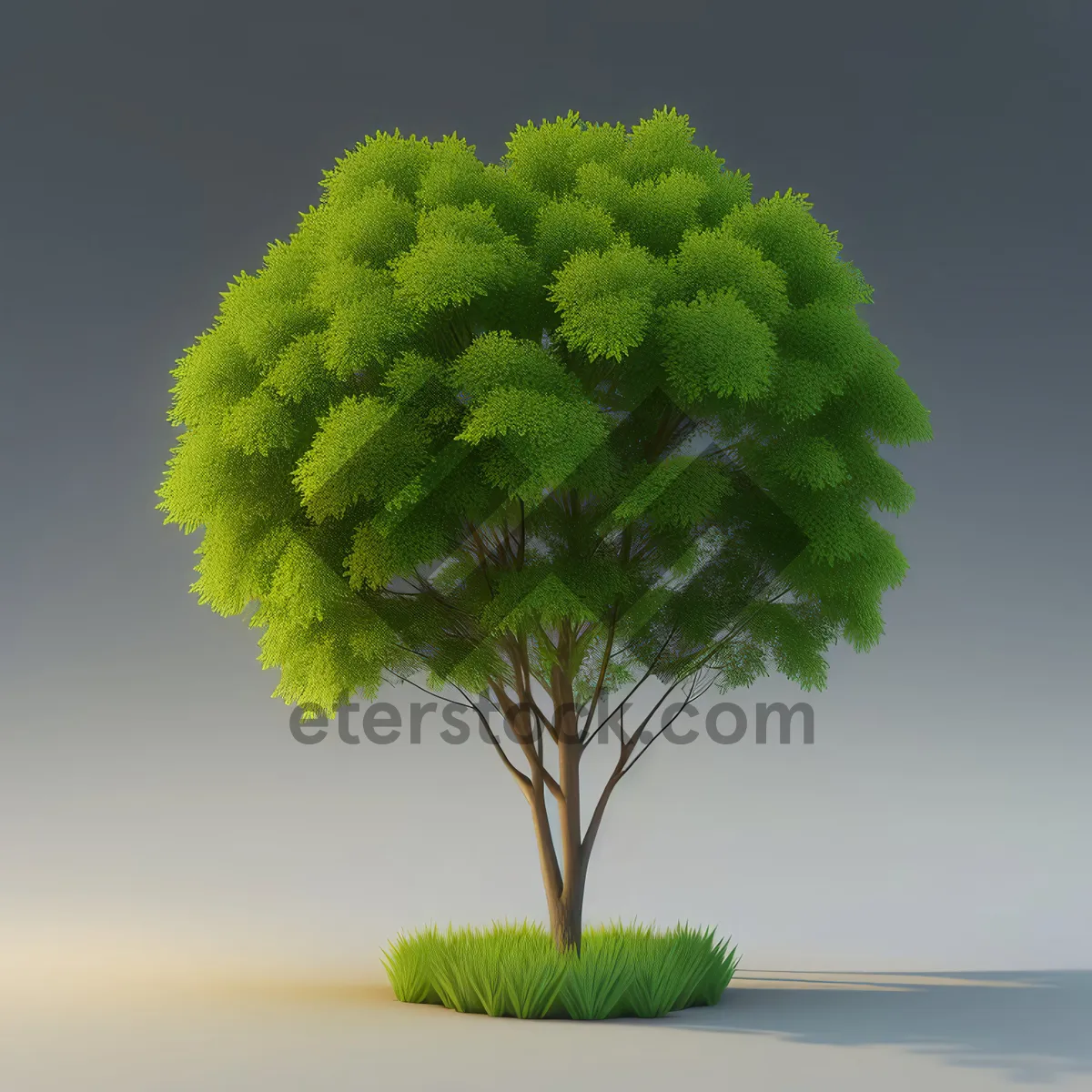 Picture of Fresh Green Spring Growth: Natural Leafy Tree Seedling