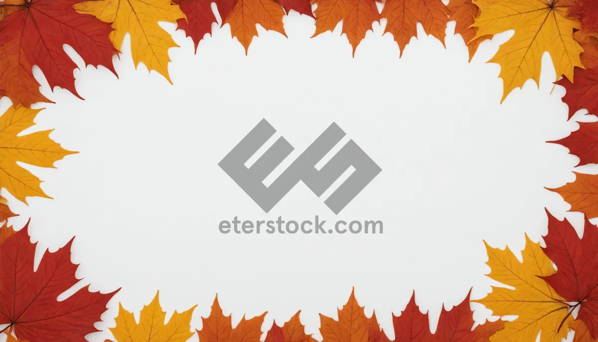 Picture of Orange and Yellow Autumn Leaf Frame Design