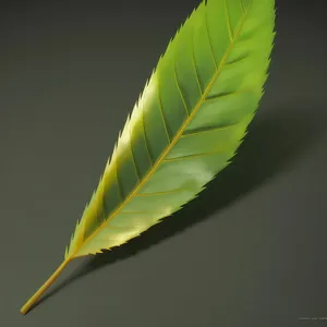 Quill pen amidst natural leaf-inspired pattern design