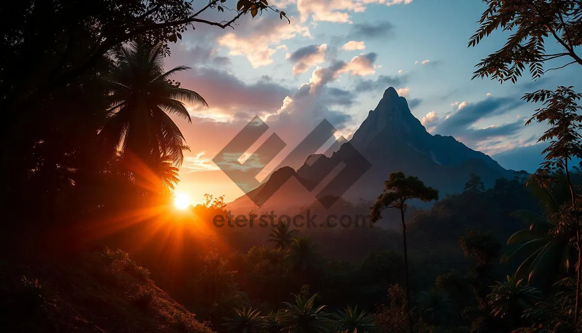 Picture of Mountain silhouette against orange sunset sky