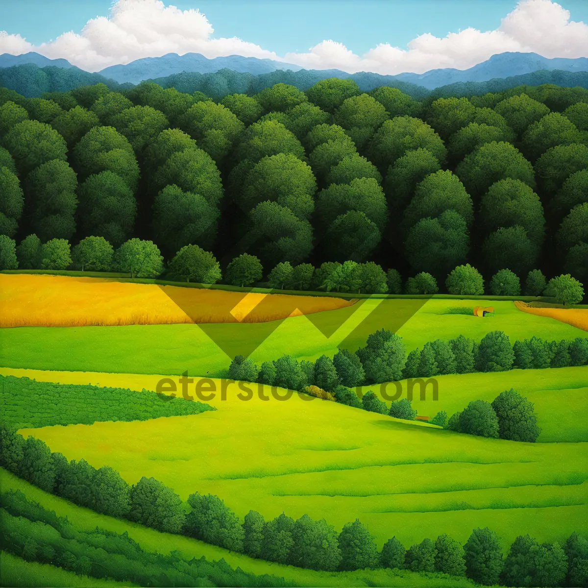 Picture of Rural Farm Landscape with Rows of Growing Crops