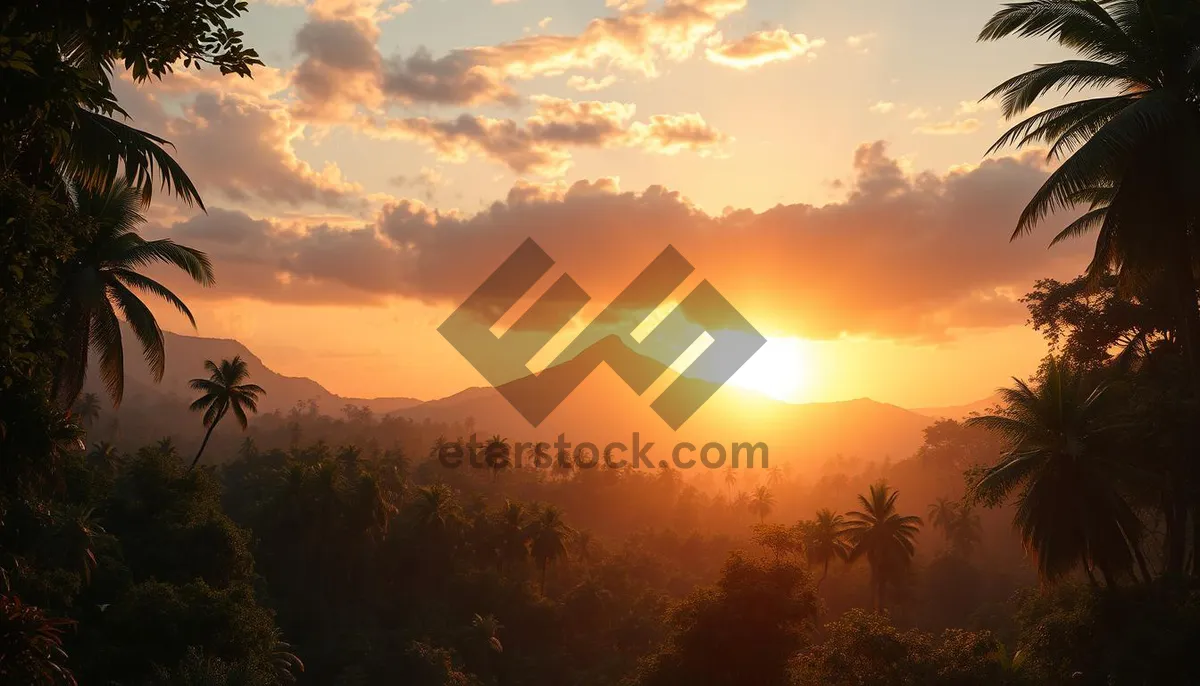 Picture of Orange sunset silhouette behind mountain landscape