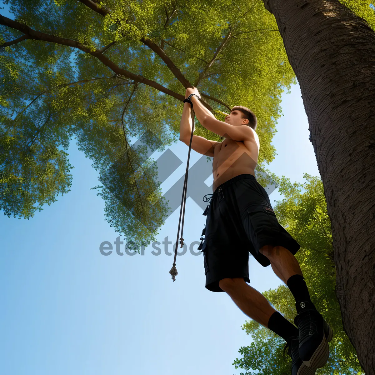Picture of Active Park Lifestyle: Happy Man Swinging in Summer