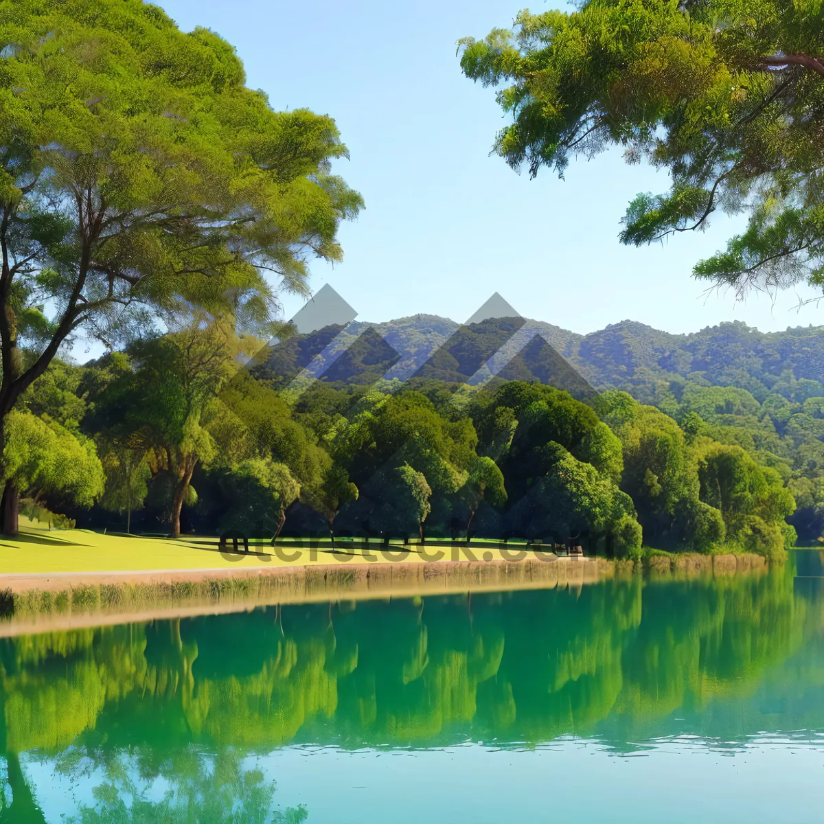 Picture of Tranquil park scenery with reflecting pond and white mangroves.