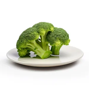 Fresh Broccoli for Healthy Vegetarian Cooking