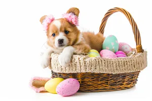 Cute Dog with Easter Egg Basket and Hamper