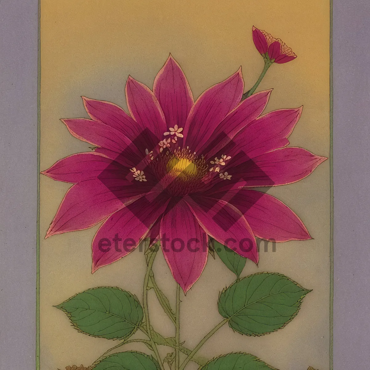 Picture of Vibrant Pink Daisy Blossom with Decorative Leaf Pattern