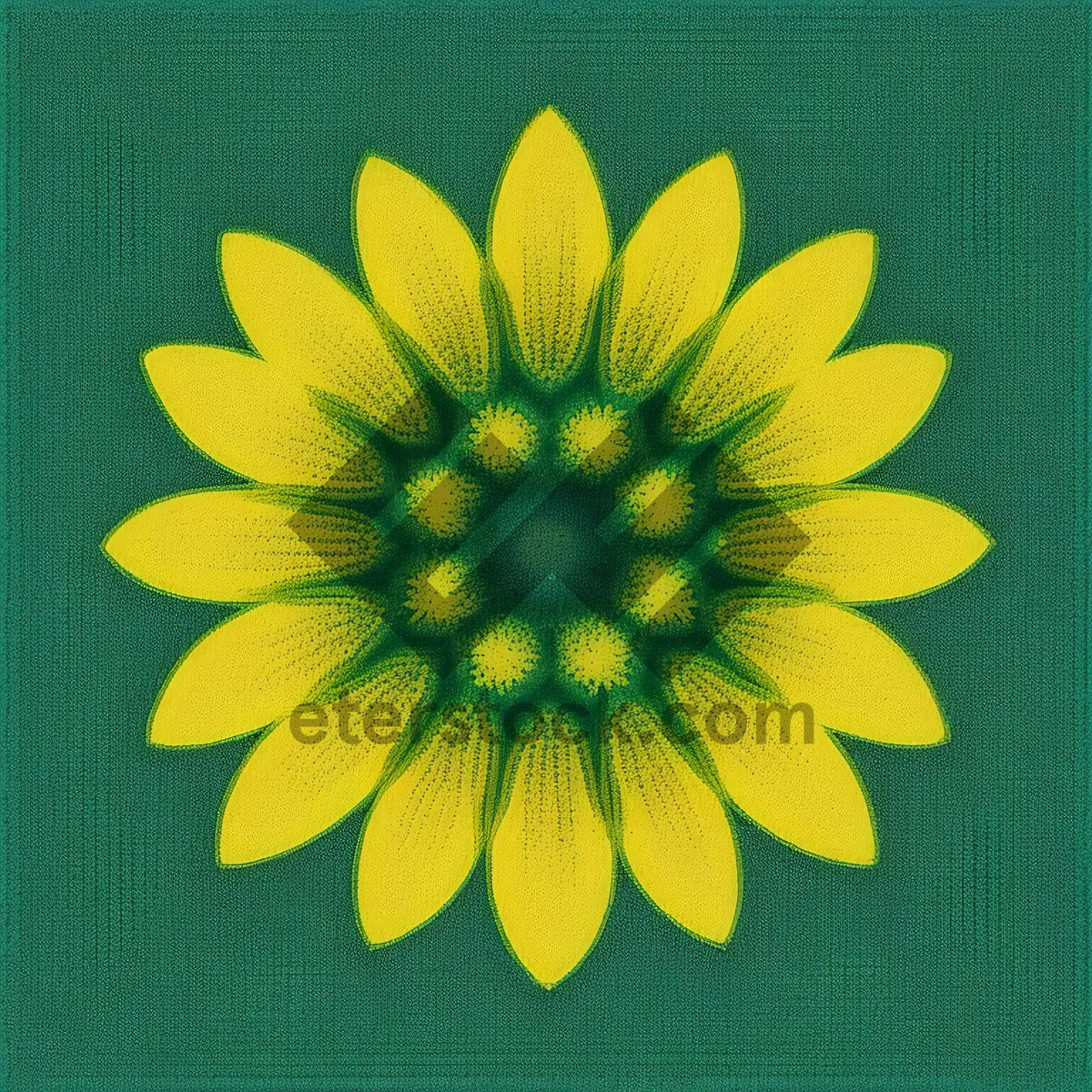 Picture of Vibrant Sunflower Blossom in Bright Summer Sky