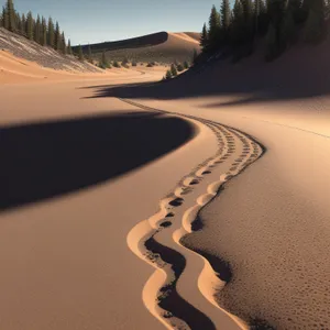 Sandy Dunes in a Desert Landscape