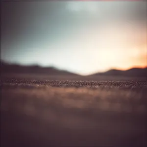 Golden Sky at Dusk