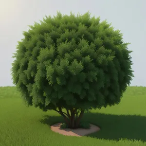 Lush Green Flora: A Majestic Vascular Tree