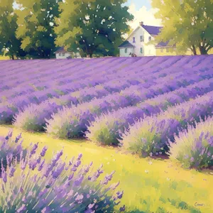 Lavender Blooms: A Purple Flower Pattern Wallpaper