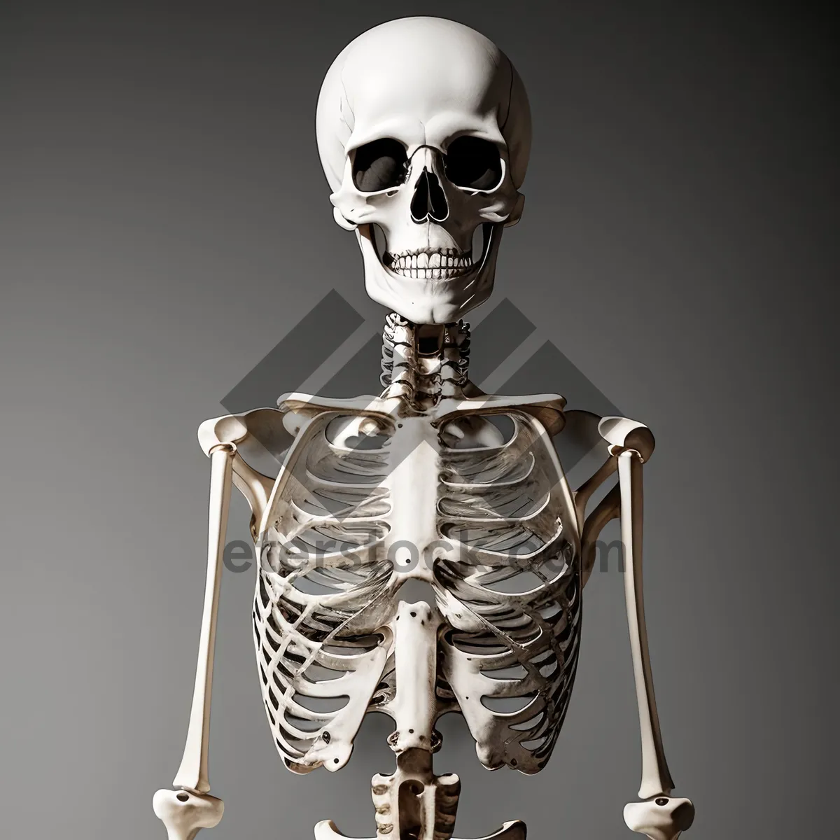 Picture of 3D Medical Skeleton Pose Horror Scary Demon Skull