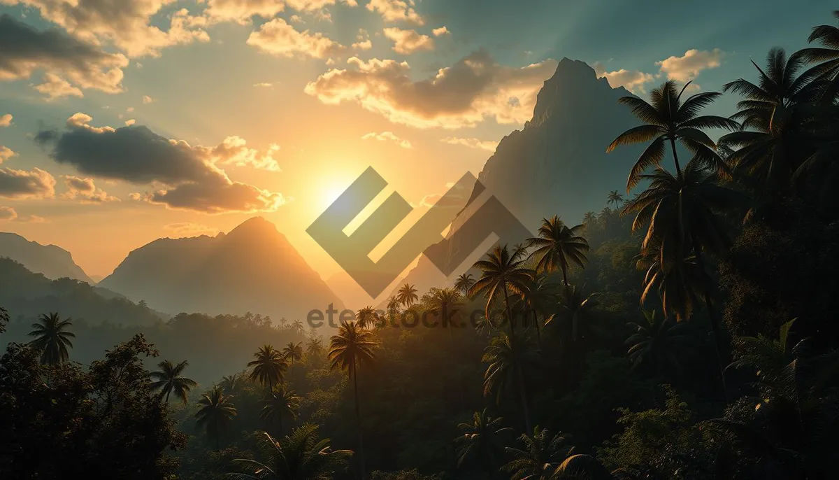 Picture of Silhouette sunrise over tropical beach landscape with dramatic lighting.
