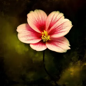 Vibrant Pink Blooming Botanical Shrub