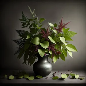 Evergreen Leaf Branch with Fresh Holly in Vase