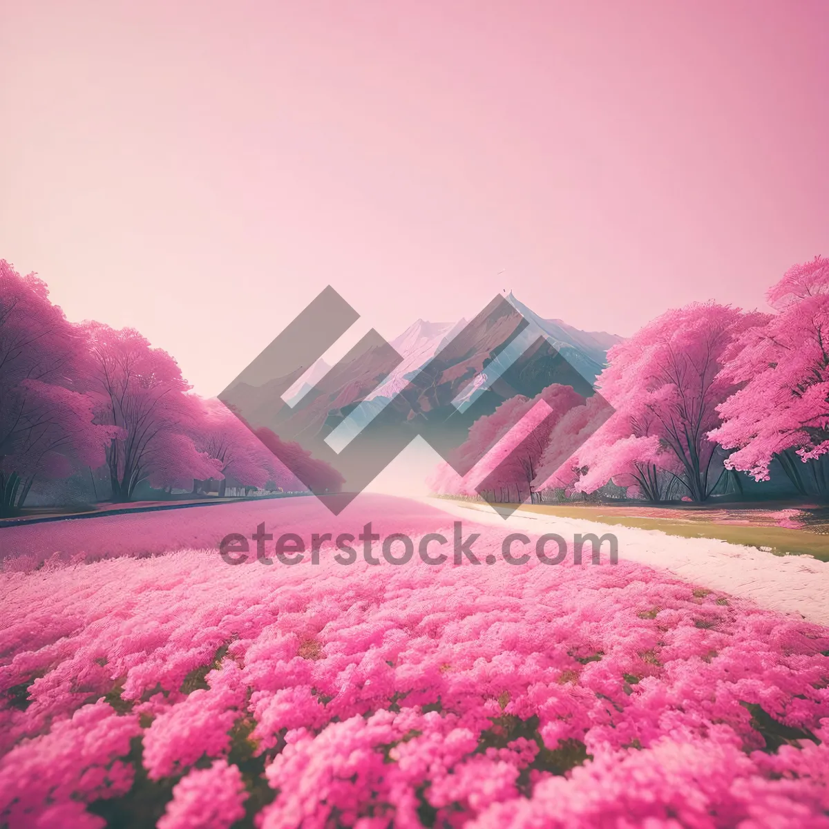 Picture of Colorful Phlox Blooming in Serene Garden Landscape