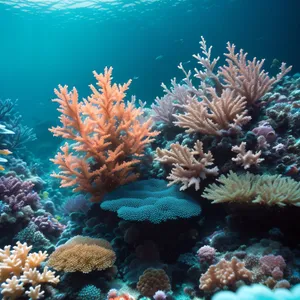 Majestic Coral Reef Life Underwater