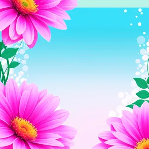 Colorful Floral Blossom - Pink Daisy Pattern