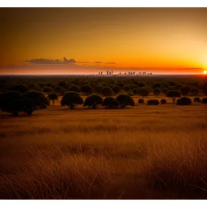 Vibrant Sunset Over Serene Coastal Landscape