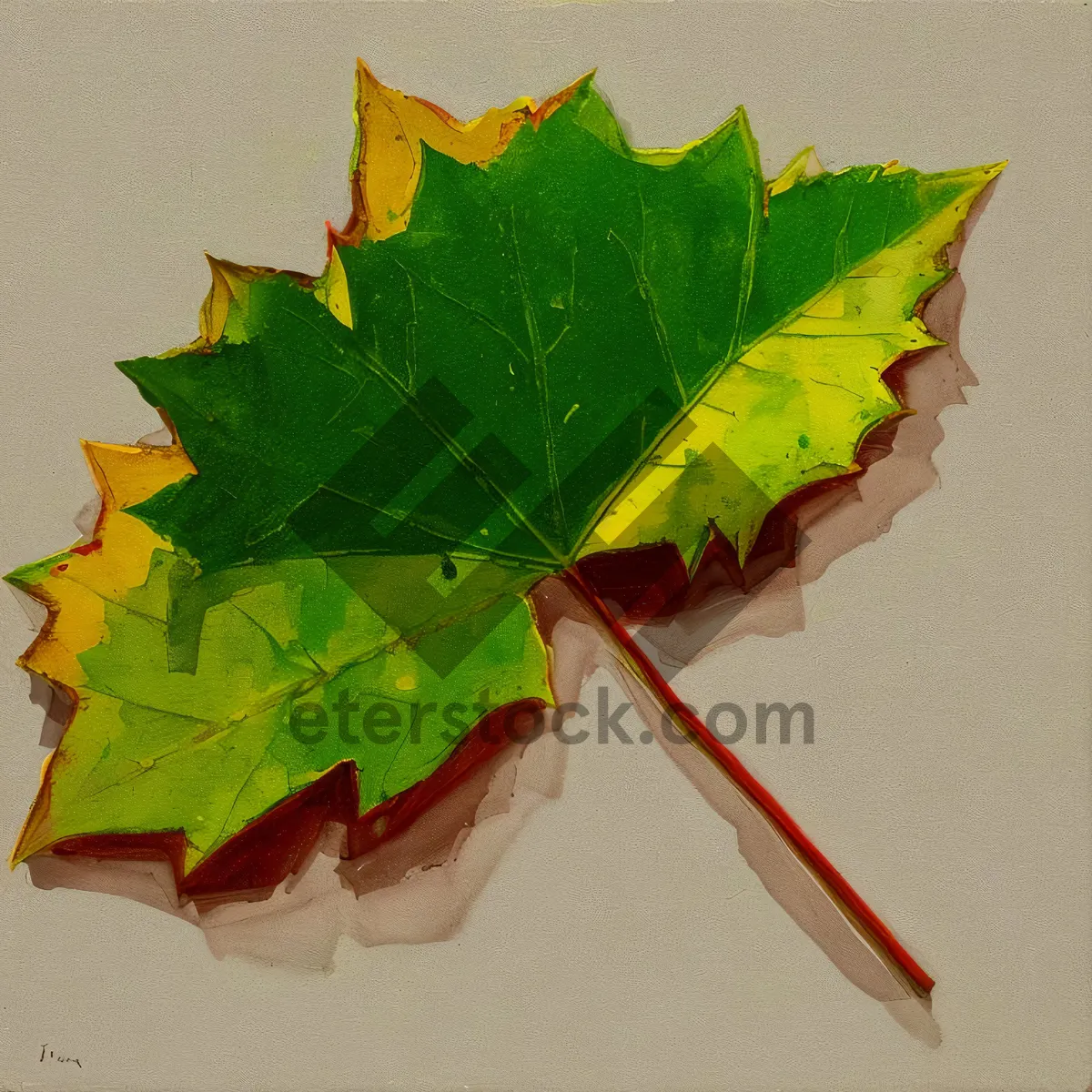 Picture of Vibrant Autumn Foliage in a Maple Tree