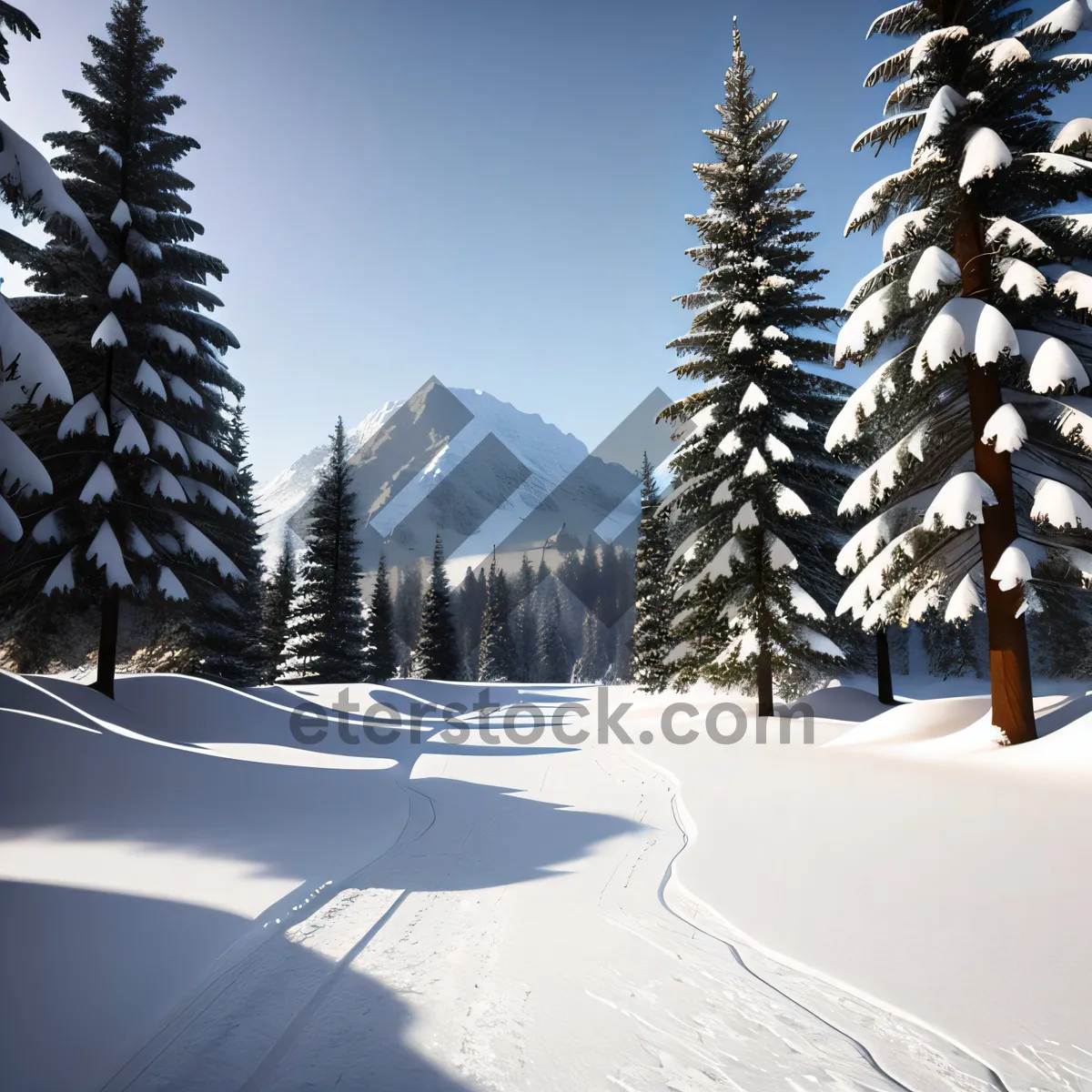 Picture of Frosty Pine Trees, Snowy Mountain Landscape