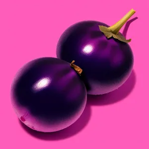 Vibrant Round Eggplant Ball - Fresh, Healthy, and Delicious