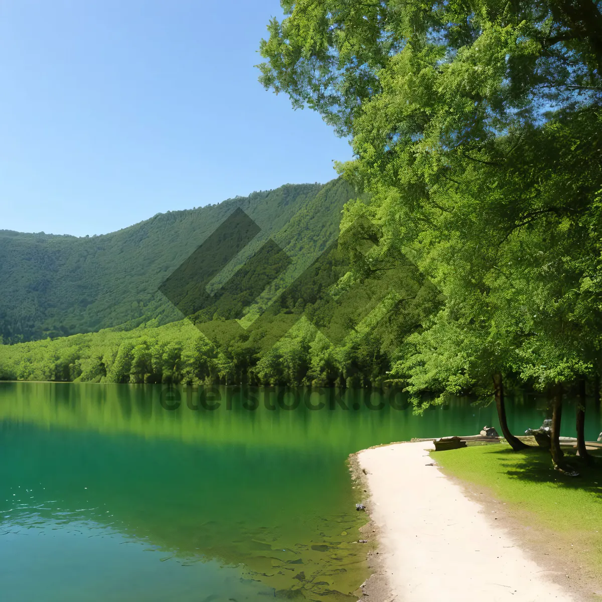 Picture of Serene Nature's Reflection: Park by the Lake