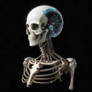 Spooky Skeleton Bust Sculpture in 3D Art.