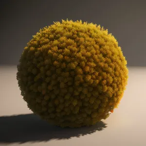 Closeup of Litchi Fruit on Golf Ball"
OR
"Edible Litchi Fruit with Golf Ball