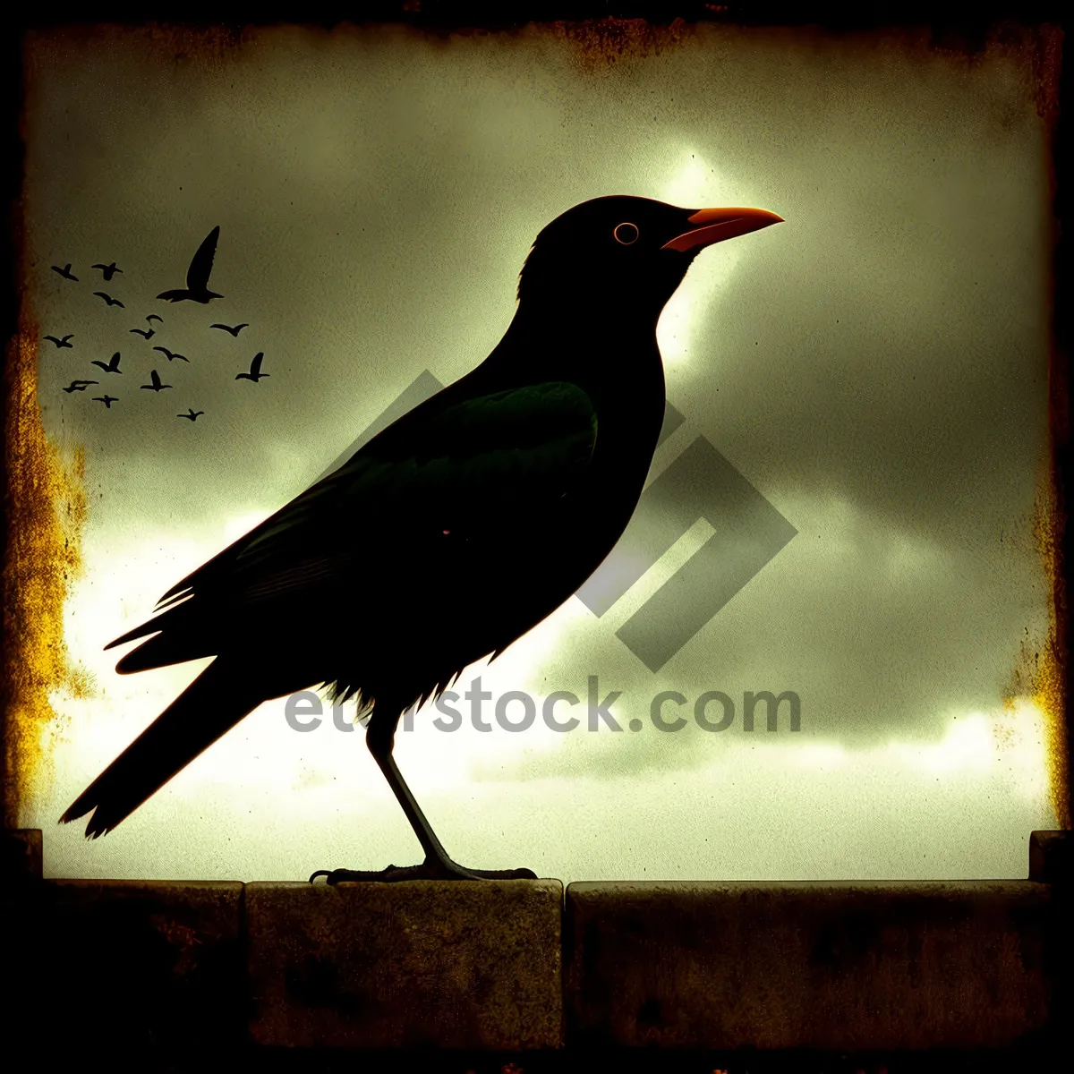 Picture of Wild Magpie With Striking Feathers and Piercing Eyes