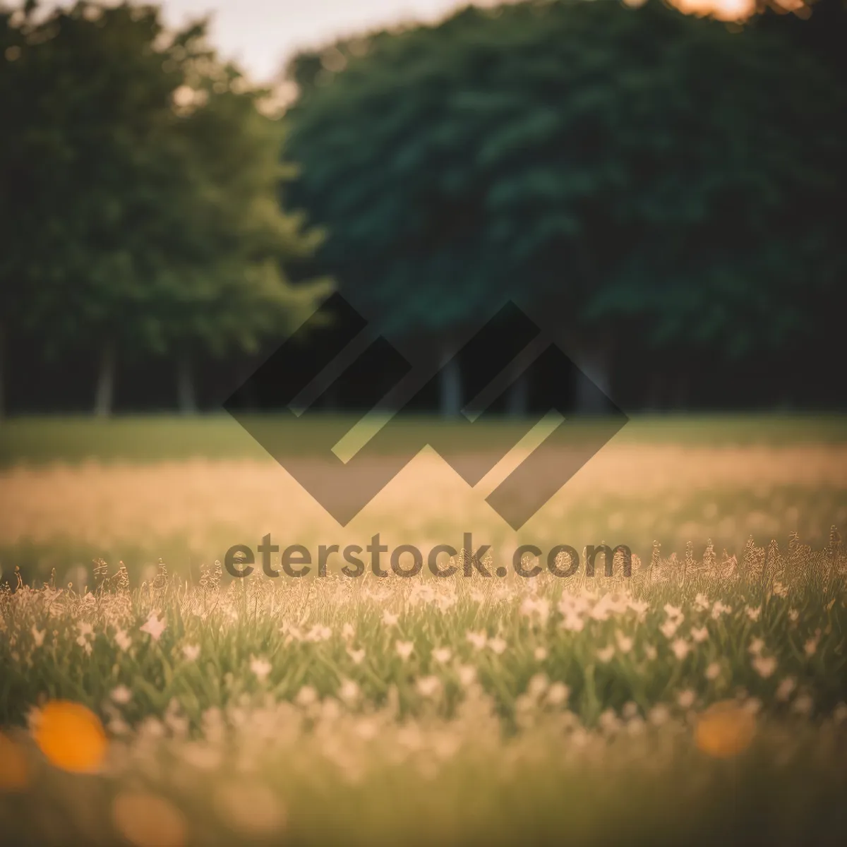 Picture of Vibrant Summer Meadow with Sprinkler in the Background