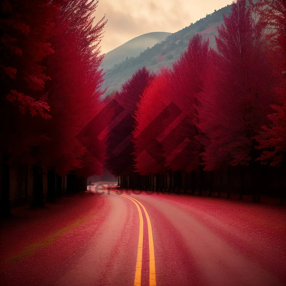 Picture of Nighttime Sky Lighting on Road with Shrub Landscape