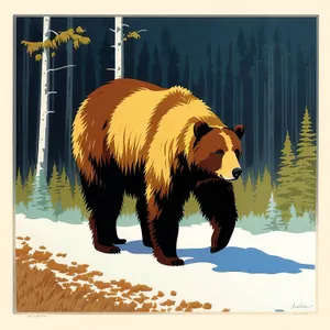 Wild Brown Bear - Majestic Mammal of the Wilderness