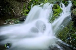 Mountain river flowing through serene natural landscape"

or

"Peaceful waterfall cascading in the forest