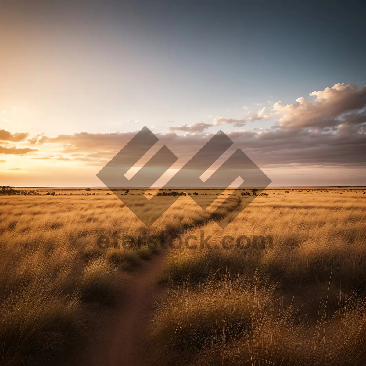 Picture of Sunset over the Golden Steppe: Majestic Skyline Silhouetting Vast Plains