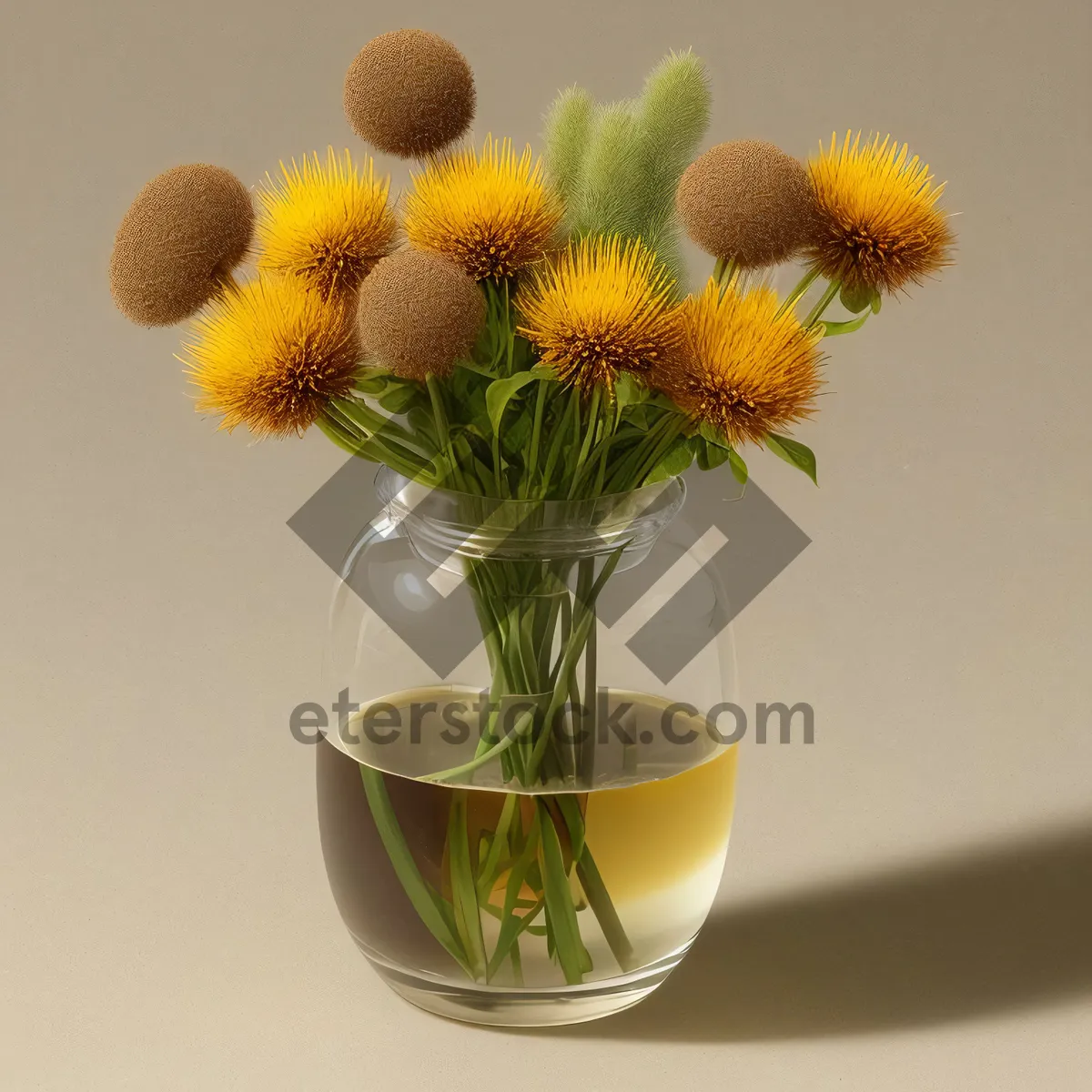 Picture of Blooming Yellow Sunflower in Garden Vase