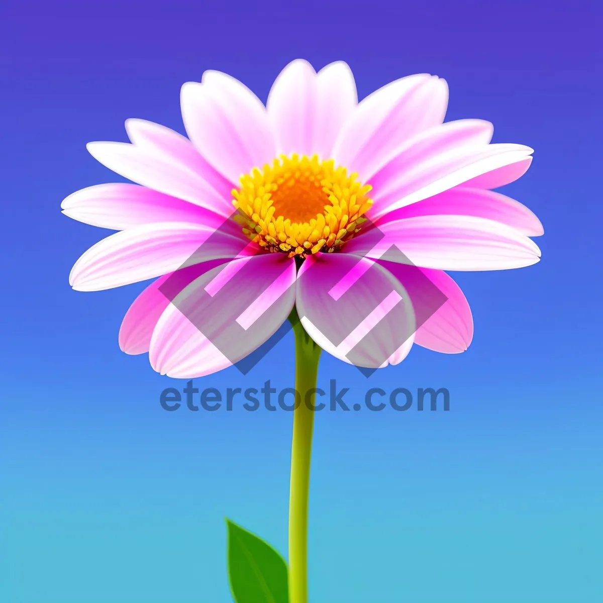 Picture of Pink Petal Bloom: A Vibrant Floral Delight