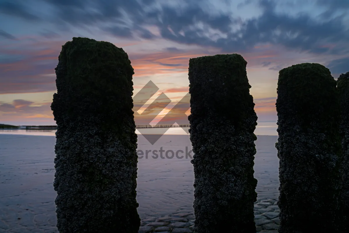 Picture of Sunset over ocean beach coast landscape structure