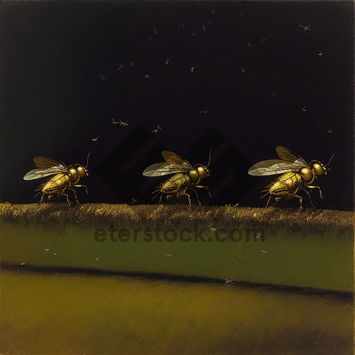 Picture of Insect Fly Arthropod Snowmobile Water Terrapin Yellow