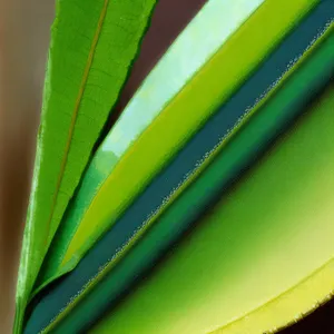 Vibrant Flax Leaf: Desert Plant with Colorful Generated Lines