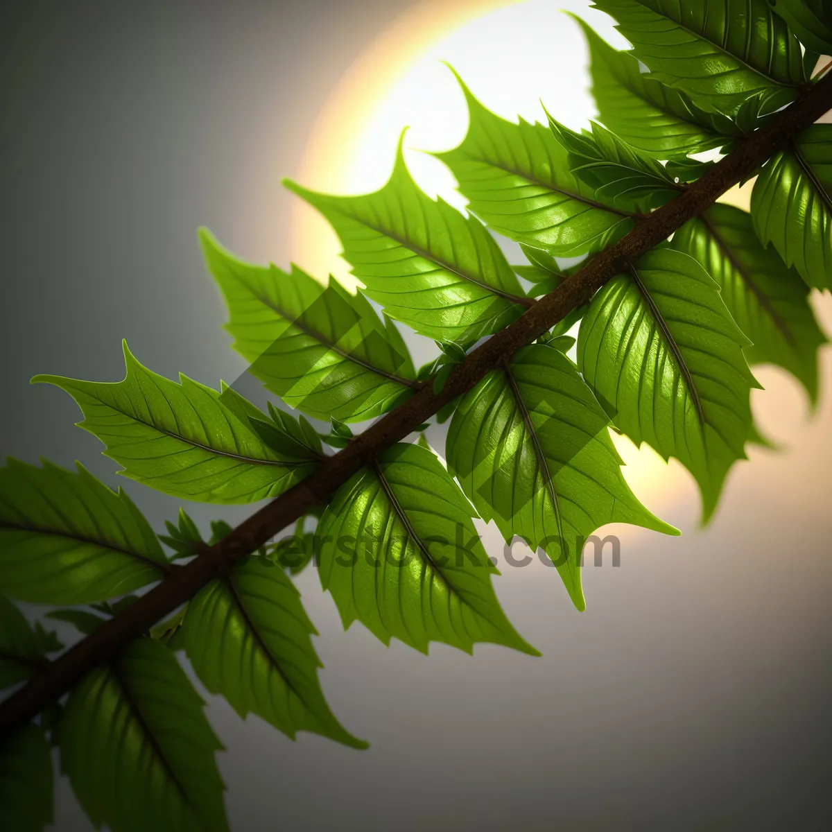 Picture of Vibrant Foliage in Lush Forest