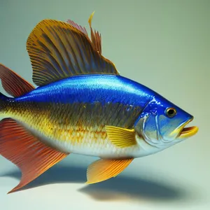 Vibrant Goldfish Swimming in Underwater Aquarium