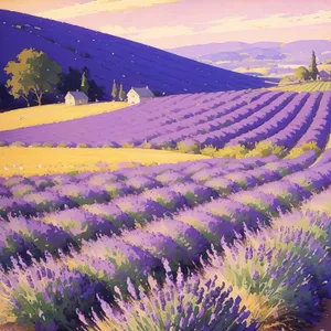 Lavender Wildflower Field in Rural Countryside