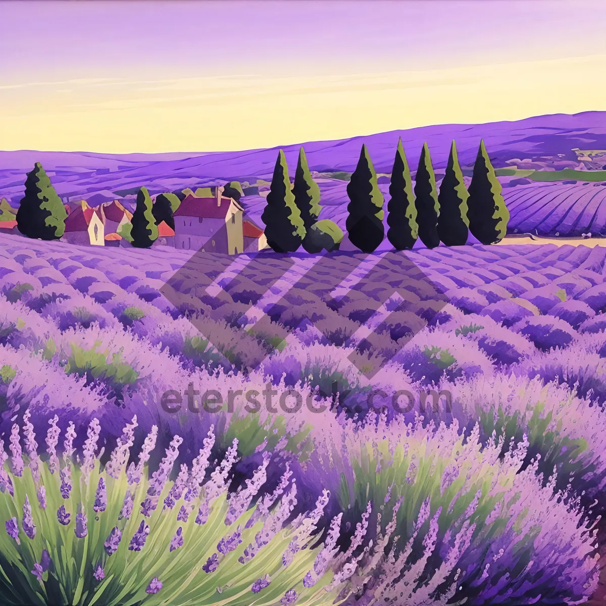 Picture of Vibrant Lavender Blooming in Colorful Field